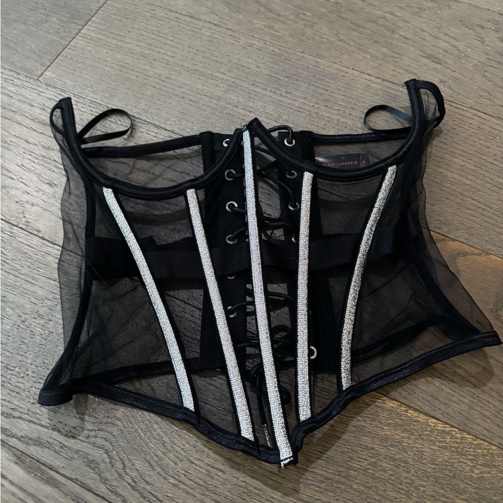 Black Sheer Corset with Silver Accents
